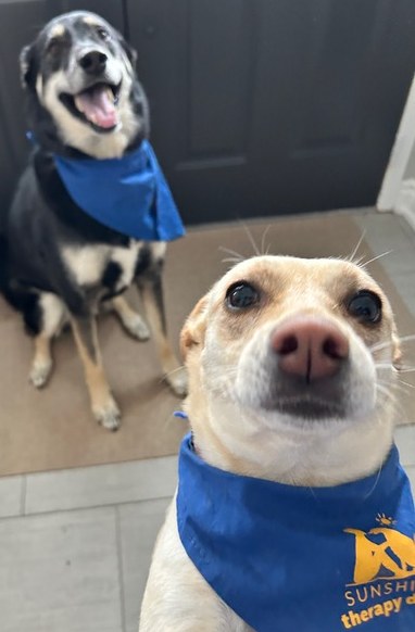 - Nicole (Volunteer)