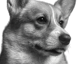 ARCHIE