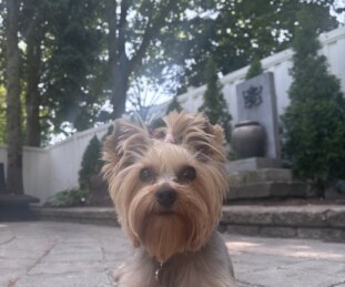 Ellie