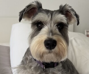 Millie!