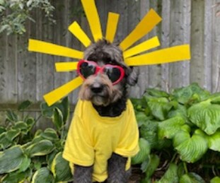 Reba_Sunshine