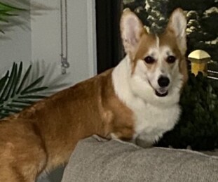 Zoey